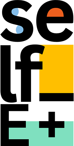 ProfPro coaching project self_e